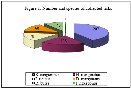 Figure. 1: Number and species of collected ticks