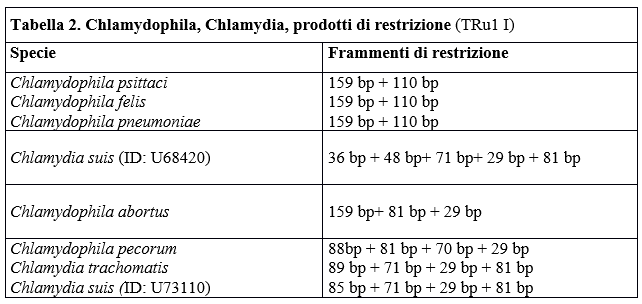 Tabella 2. Chlamydophila, Chlamydia, prodotti di restrizione (TRu1 I)