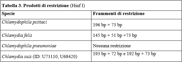 Tabella 3. Prodotti di restrizione (Hinf I)