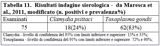 Tabella 11.  Risultati indagine sierologica -  da Maresca et al., 2011, modificato (n. positivi e prevalenza%)