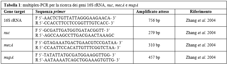 Tabella 1: multiplex-PCR per la ricerca dei geni 16S rRNA, nuc, mecA e mupA