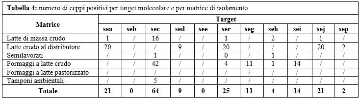 Tabella 4: numero di ceppi positivi per target molecolare e per matrice di isolamento