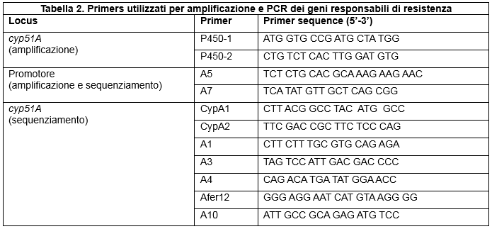 Primers utilizzati per amplificazione e PCR dei geni responsabili di resistenza