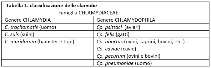 Tabella 1. Classificazione delle clamidie