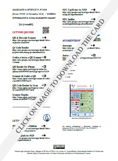 The SPVet.it Card on smart elements. Click to the image to enlarge the document