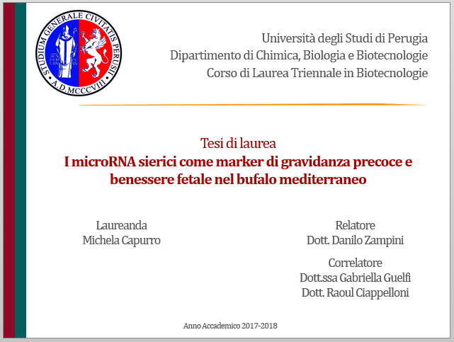 Tesi di laurea.I microRNA sierici come marker di gravidanza precoce e benessere fetale nel bufalo mediterraneo - M. Capurro 2019
