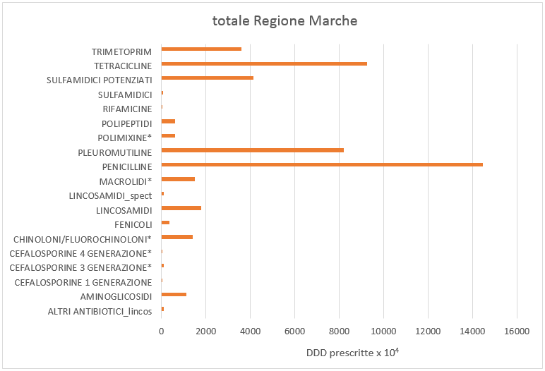 Figura 2. DDD prescritte x 10*4 di antibiotici totali nel 2018 nella Regione Marche suddivise per classe di farmaco