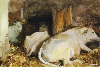 Three Oxen (ca. 1910) by John Singer Sargent