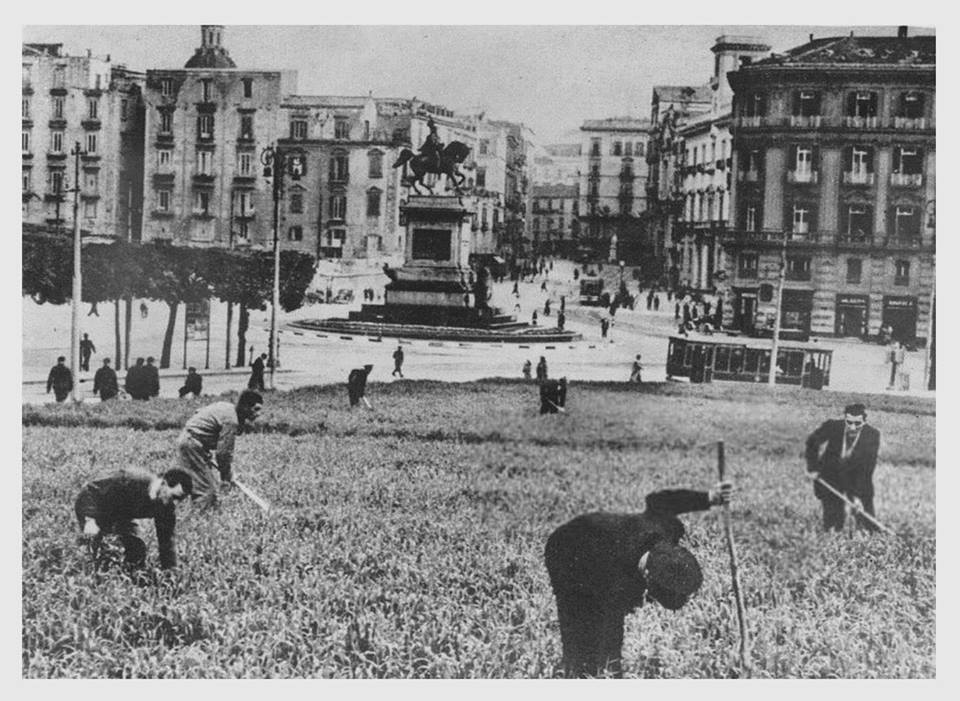 Figura 2. Napoli, Orto di guerra a Piazza del Municipio.