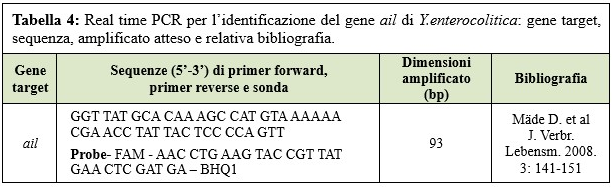 Real time PCR for Y. enterocolitica ail gene identification: target gene, sequence, expected amplification and relative bibliography