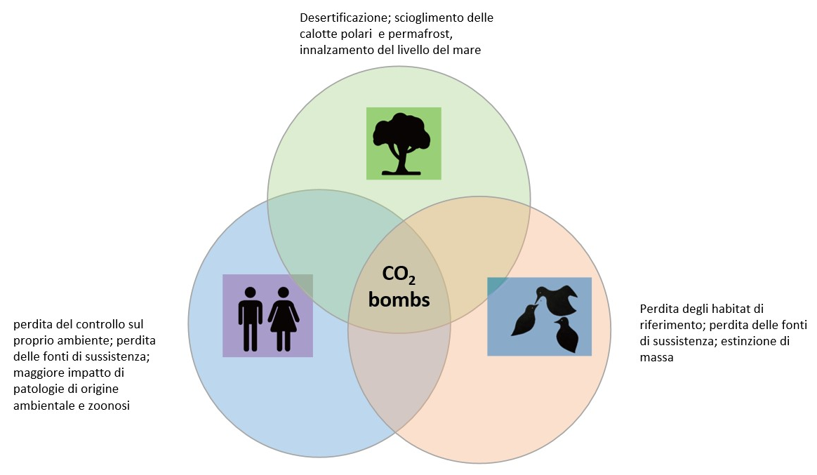 Effetti delle carbon bombs su animali, ambiente e uomo