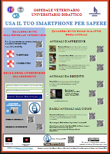 Download Smart poster esempio - 16 Novembre 2016