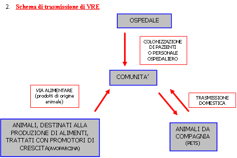 Schema di trasmissione di VRE