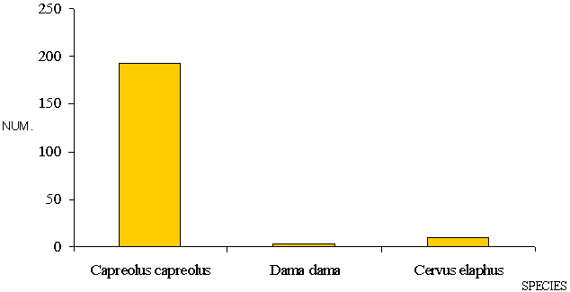 Species and number of ungulates sampled