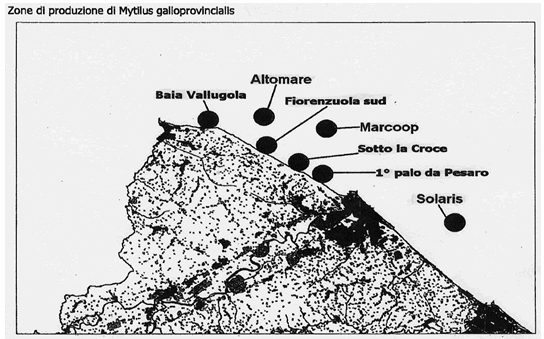 Zone di produzione del Mytilus galloprovincialis della provincia di Pesaro-Urbino