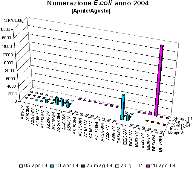 Contaminazione da E.coli per l'anno 2004, Aprile - Agosto