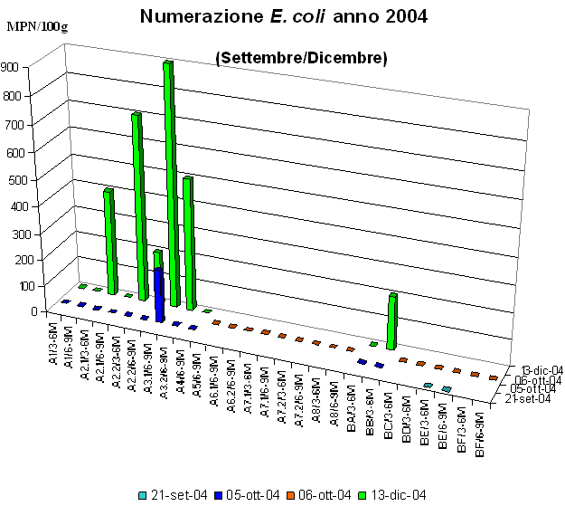 Contaminazione da E.coli per l'anno 2004, Settembre - Dicembre