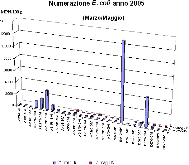 Numerazione E coli anno 2005