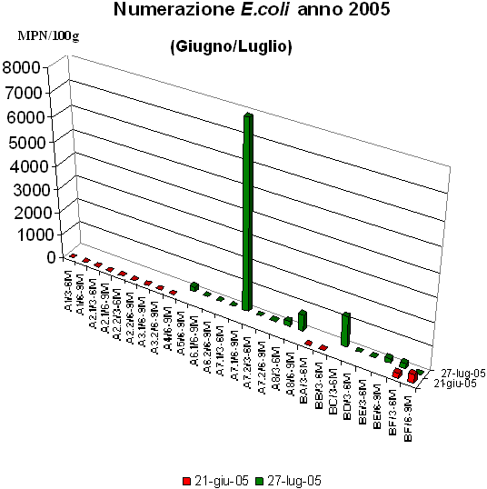 Numerazione E coli anno 2005 (Giugno - Luglio)