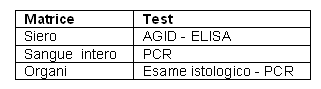 Matrice Test