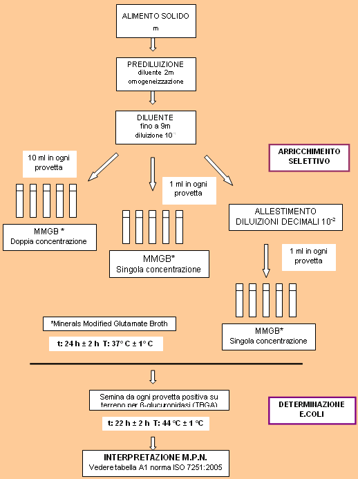Rappresentazione schematica del procedimento per la conta di E. coli