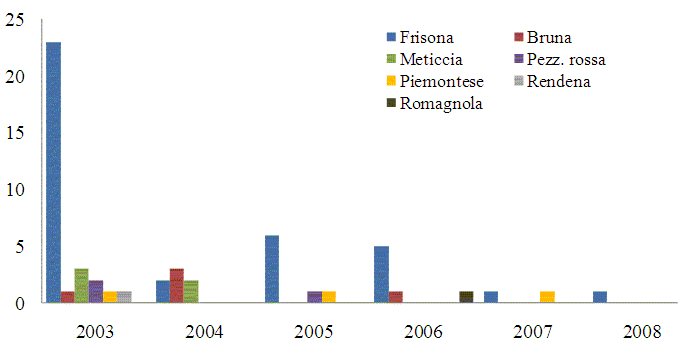 Figura 13: Distribuzione dei casi per razza e per anno dal 2003 al 2008 