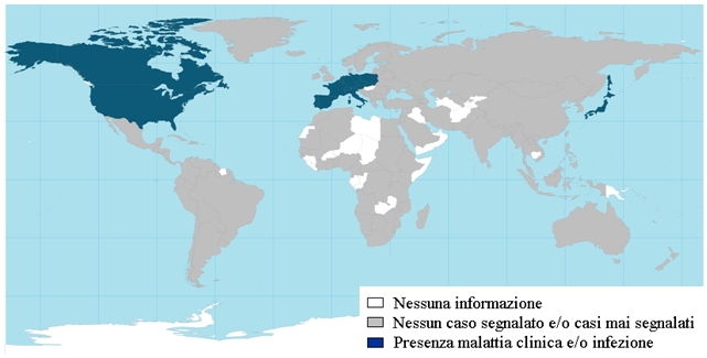 Figura 15: Situazione epidemiologica della BSE nel mondo nel 2005