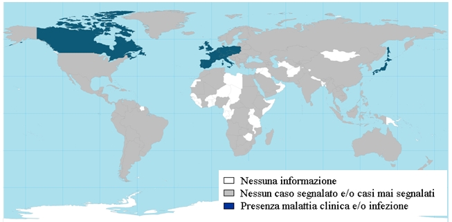 Figura 18: Mappa della situazione della BSE nel mondo nel 2008
