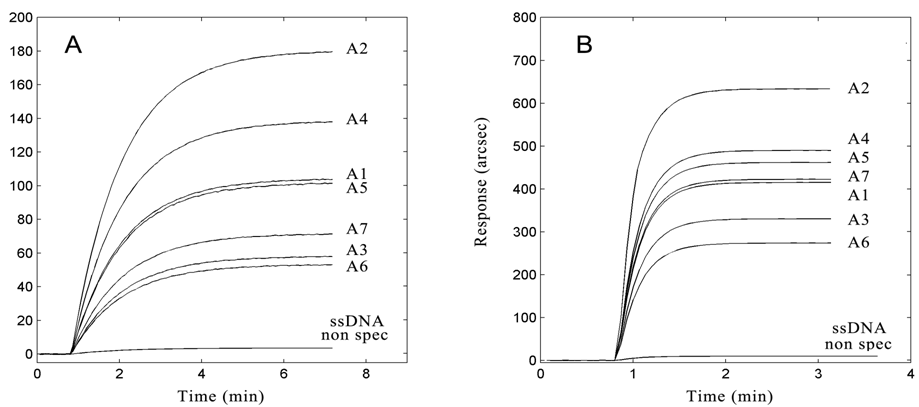 Ibridizzazione di campioni amplificati (A1 – A7) con la sonda ssDNA (Box A) e con  la sonda ssDNA/LNA (Box B)