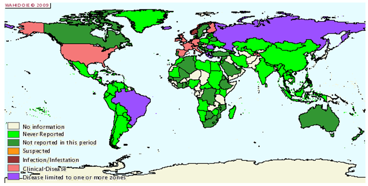Situazione epidemiologica della scrapie nel mondo da Gennaio a Giugno 2005 - Courtesy of the World Animal Health Information Database (WAHID)