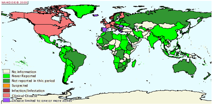 Situazione epidemiologica della scrapie nel mondo da Luglio a Dicembre 2005 - Courtesy of the World Animal Health Information Database (WAHID)