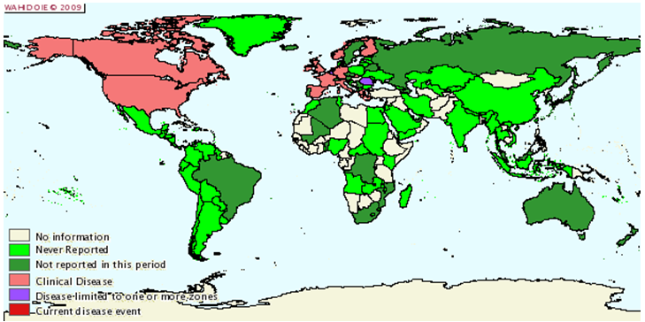 Situazione epidemiologica della scrapie nel mondo da Gennaio a Giugno 2006 - Courtesy of the World Animal Health Information Database (WAHID)