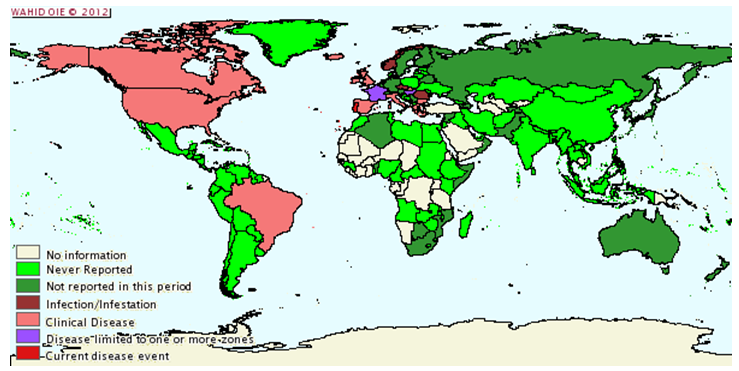 Situazione epidemiologica della scrapie nel mondo da luglio a dicembre 2008 - Courtesy of the World Animal Health Information Database (WAHID)