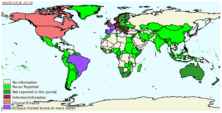Situazione epidemiologica della scrapie nel mondo da gennaio a giugno 2011 - Courtesy of the World Animal Health Information Database (WAHID)