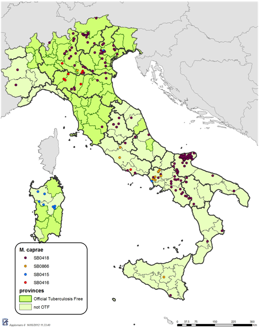 Distribuzione geografica degli spoligotipi di M. caprae isolati in Italia negli anni 2000-2011. Per concessione del Centro di Referenza Nazionale per la Tubercolosi bovina da Mycobacterium bovis - IZSLER